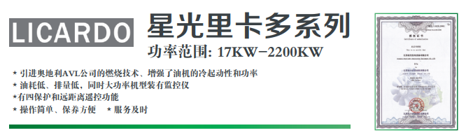 里卡多柴油發電機組(圖1)